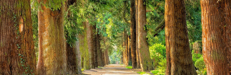 Nachhaltigkeit bei cartida.de